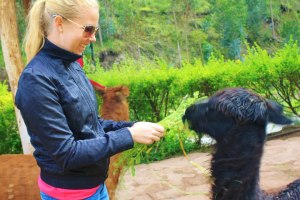 408652_10152773922485370_1910249610_n