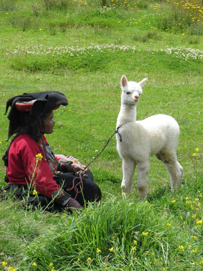 Cusco and Machu Picchu – The Lazy Man’s&nbsp;Tour