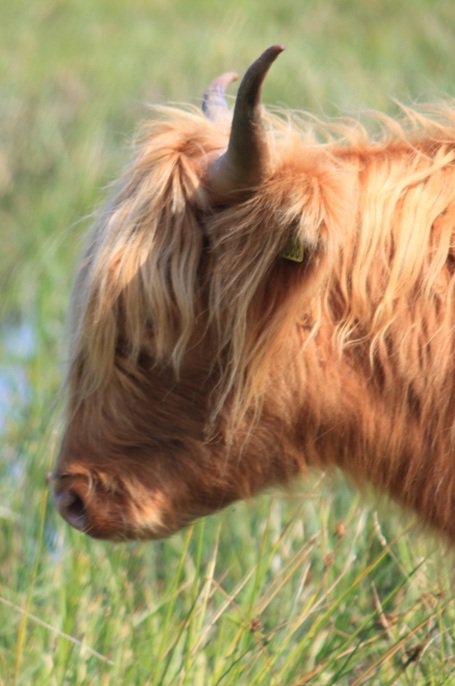 47274_10150265677625370_110609_n