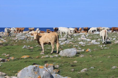 47274_10150265677630370_4242522_n