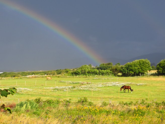 Sommar, Sommar, Sommar