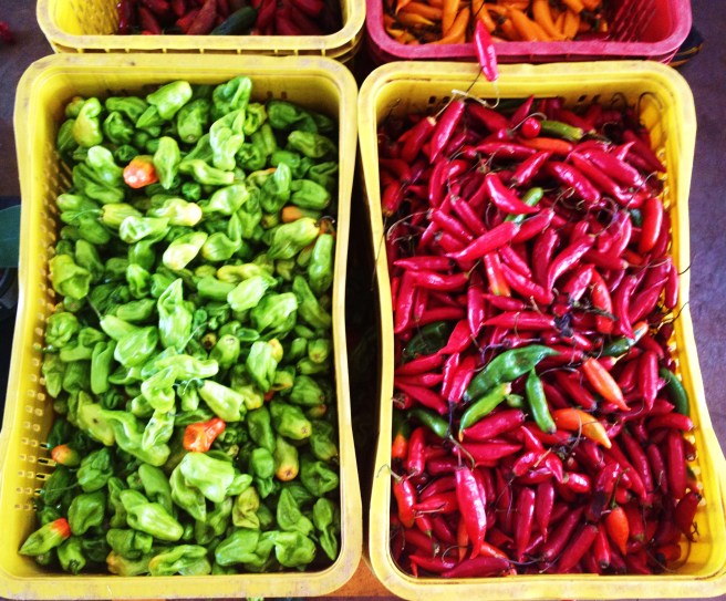 Exploring Brasilia’s Markets!