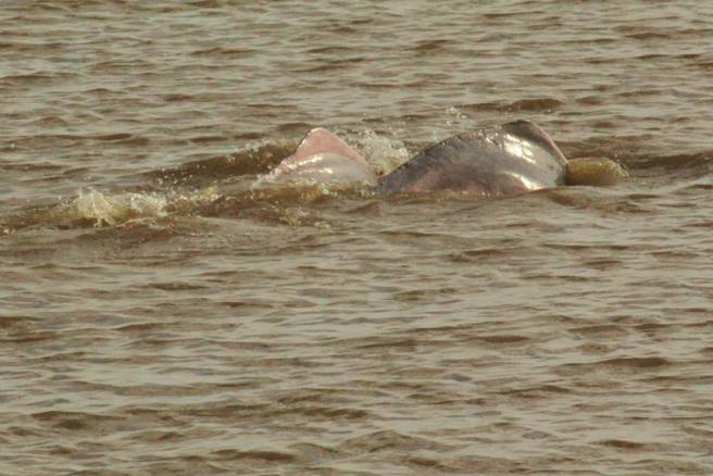 10997784_10155268816965370_6421531269921722086_n